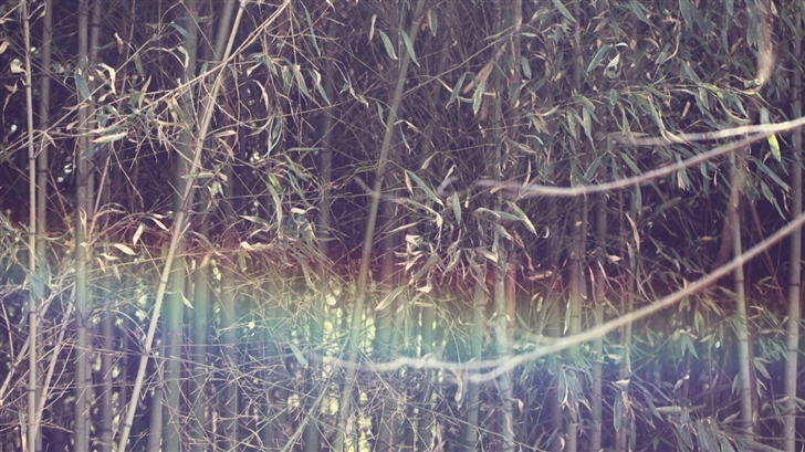 Mystic Rainbow Mac Wallpaper