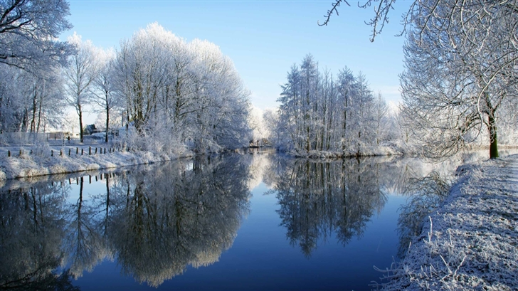 Frozen Trees Reflected In Water Mac Wallpaper