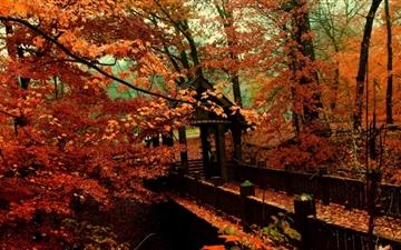 A Bridge To Autumn All Mac wallpaper