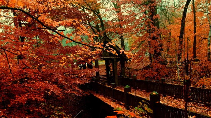 A Bridge To Autumn Mac Wallpaper