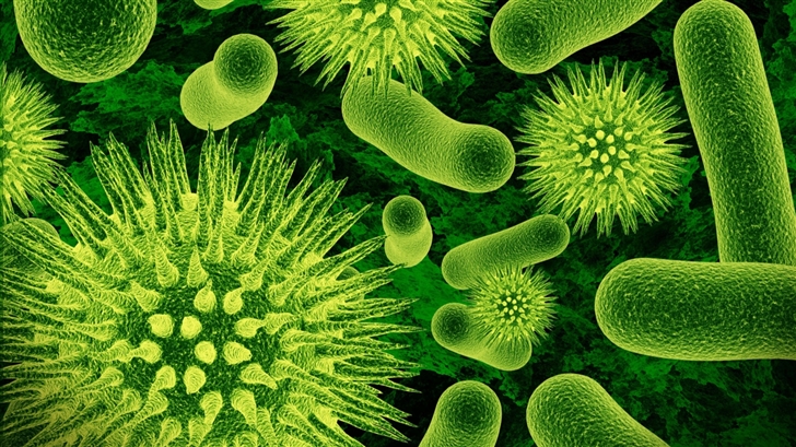 The Bacterias 3D Mac Wallpaper
