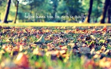 Falling Leaves Hide The Path All Mac wallpaper
