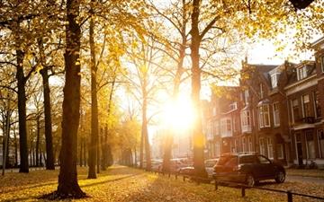 Sunny Autumn Afternoon All Mac wallpaper