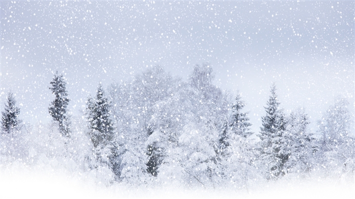 Winter Snow Mac Wallpaper