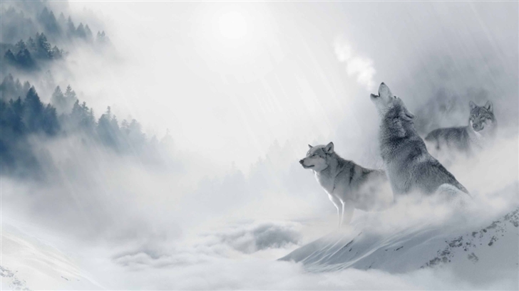 Wolf Howling Mac Wallpaper