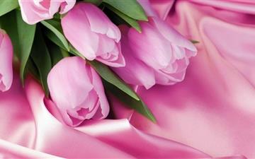 Romantic Tulips All Mac wallpaper