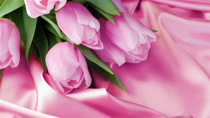 Romantic Tulips Mac Wallpaper