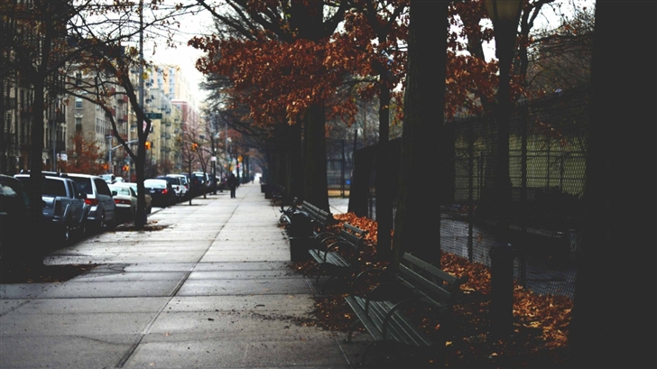 Cold Autumn Day In New York Mac Wallpaper