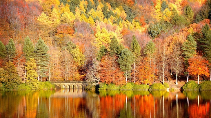 Beautiful Lake Reflection Autumn Mac Wallpaper