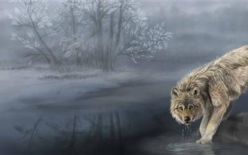 Wolf Drinking Water Painting All Mac wallpaper