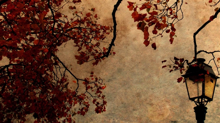 Autumn View Mac Wallpaper